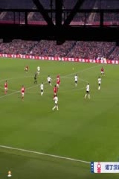 英超联赛 诺丁汉森林VS利物浦 20250115