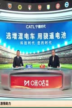 英超联赛 利物浦VS伊普斯维奇 20250125