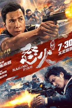 怒火·重案(国语版)