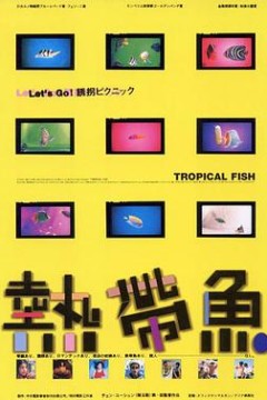 热带鱼熱帶魚