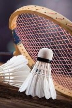 巴黎奥运会羽毛球男子单打小组赛G组：巴勃罗·阿比安2-0维伦·内塔辛赫