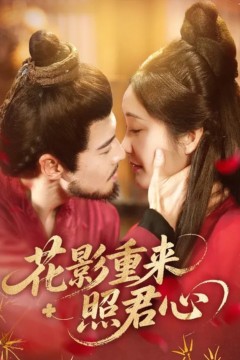 花影重来照君心