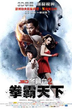 冬荫功2：拳霸天下(国语版)