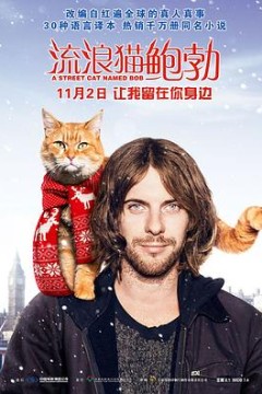 流浪猫鲍勃(国语版)