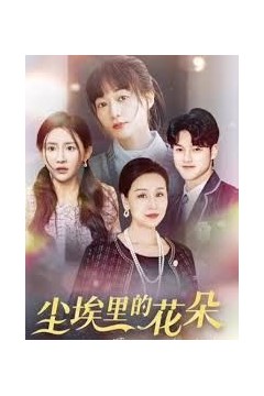 港圈大佬把我宠上天(尘埃里的花朵)