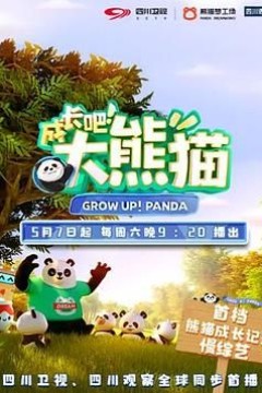 成长吧！大熊猫
