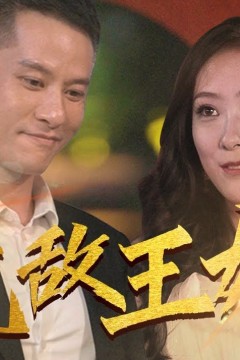 无敌王婿