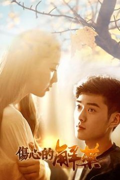 伤心的解药