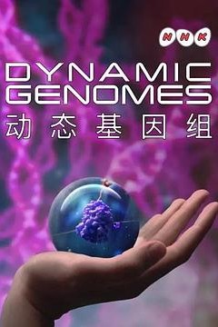 动态基因组