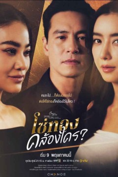 情爱理论之黄金枷锁