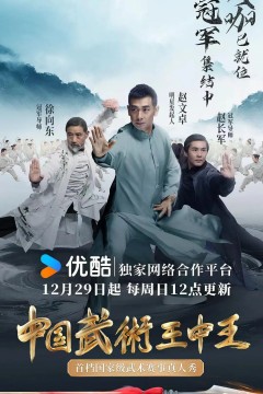 中国武术王中王