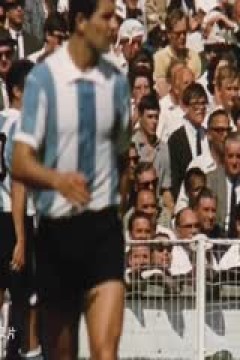 1966年世界杯官方纪录片 HDTV