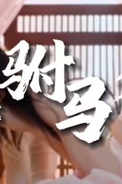 风流驸马爷(新逍遥驸马爷)