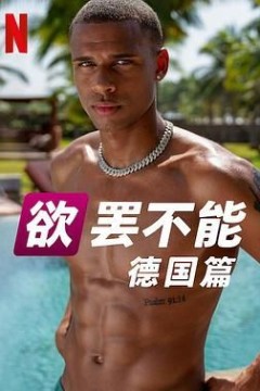 欲罢不能德国版第二季