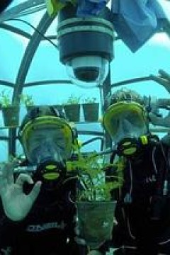 海洋大宝藏粤语