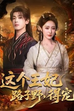 这个王妃路子野，得宠