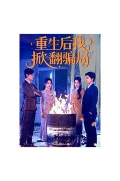 重生后我掀翻骗局