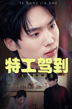 特工驾到大小姐闹够没(特工驾到大小姐别闹了