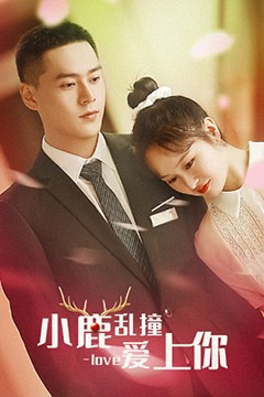 小鹿乱撞爱上你
