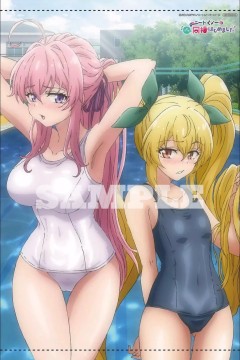 我与尼特女忍者的莫名同居生活 EX