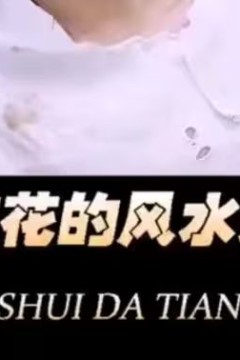 美女校花的风水大天师