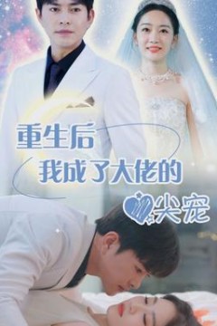 重生后我成大佬心尖宠