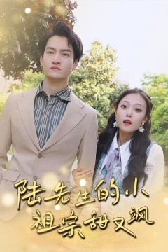 陆先生的小祖宗甜又飒(落魄千金的逆袭恋曲)