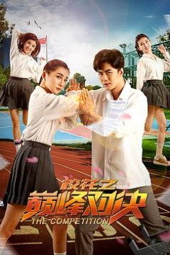 校花之巅峰对决