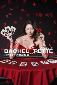 女单身汉日本版