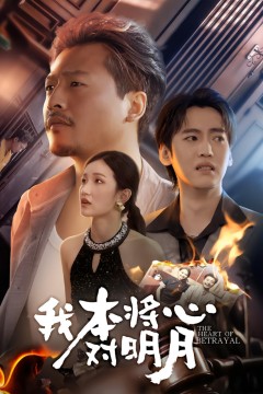 我本将心向明月