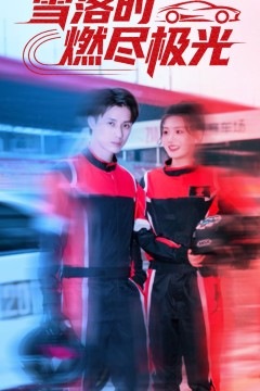 雪落时燃烬极光