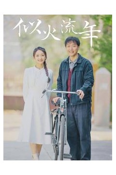 似火流年短剧版