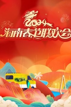 2024海南春节联欢会