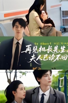 再见机长先生夫人已读不回
