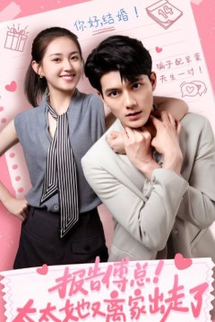 报告傅总太太她又离家出走了