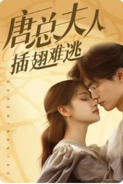 唐总夫人插翅难逃