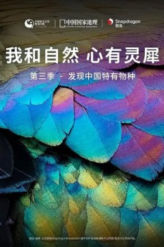 我和自然心有灵犀第三季