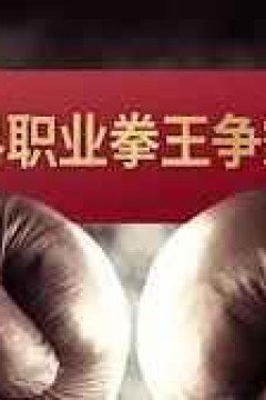 世界职业拳王争霸赛