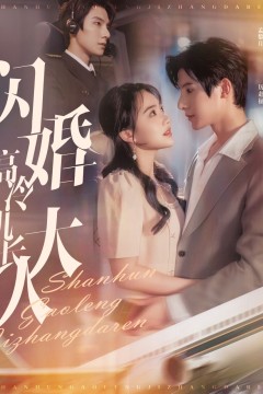 闪婚高冷机长大人(机长先生听我指挥)