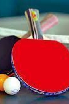 巴黎奥运会乒乓球男子团体铜牌赛：法国vs日本