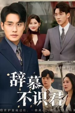 辞慕不识君(七年情深终成侮)