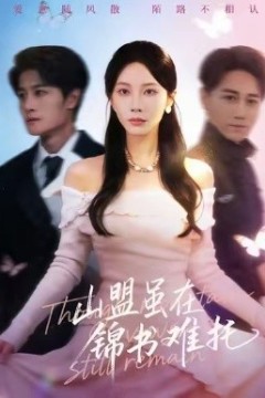 山盟虽在锦书难托不值得的爱早该格式化