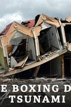 印度洋大海啸第一季