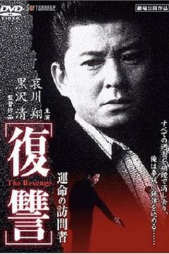 复仇：命运的访问者