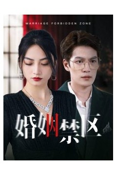 婚姻禁区