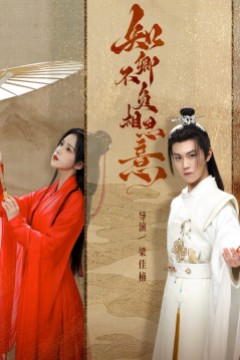 知卿不负相思意