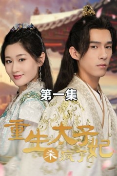 重生后太子妃杀疯了