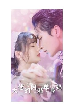 大佬的闪婚单身妈