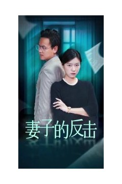 妻子的反击27集