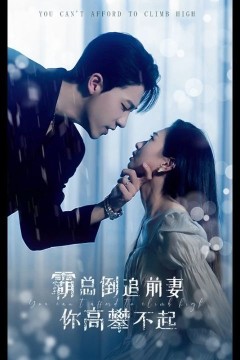 霸总倒追前妻你高攀不起